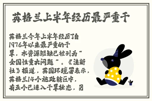 单机火影游戏